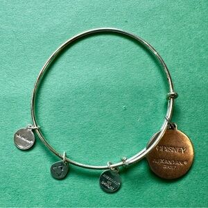 Disney vacation club Alex and Ani bracelet